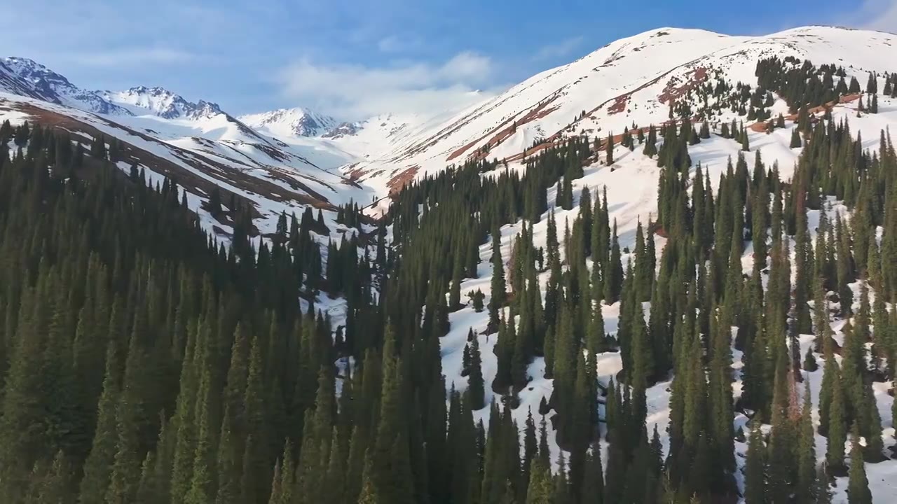 航拍雪山森林风景视频下载