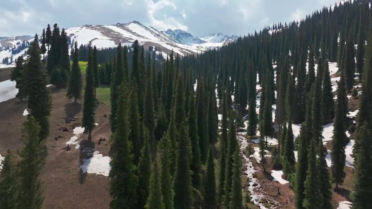 航拍雪山森林自然风光视频素材