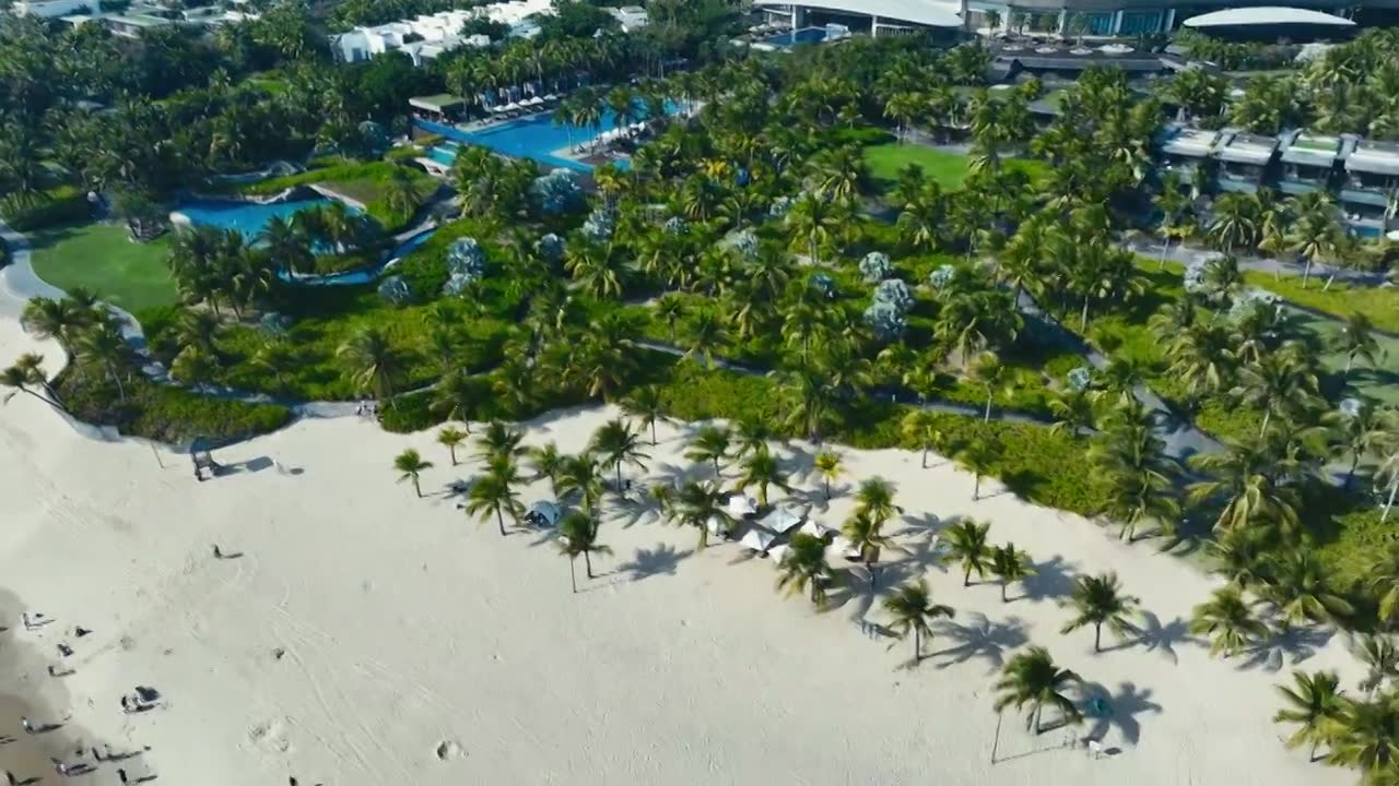 海南椰林阳光沙滩航拍视频下载