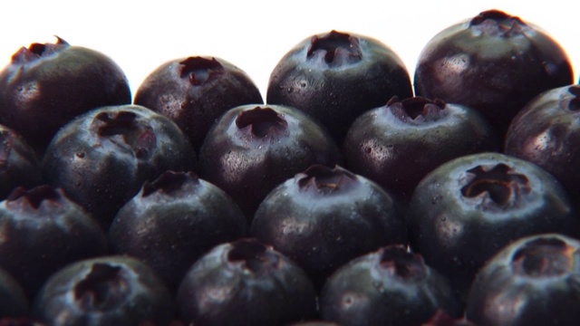 蓝莓视频素材