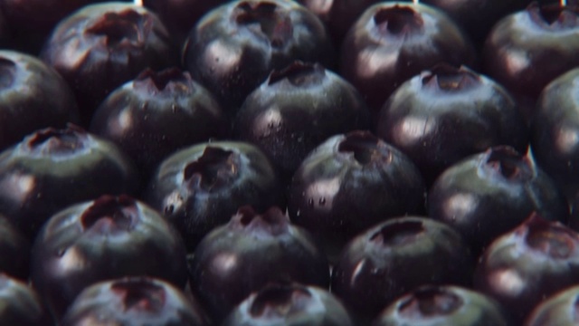 蓝莓，一个放在塑料勺上视频素材