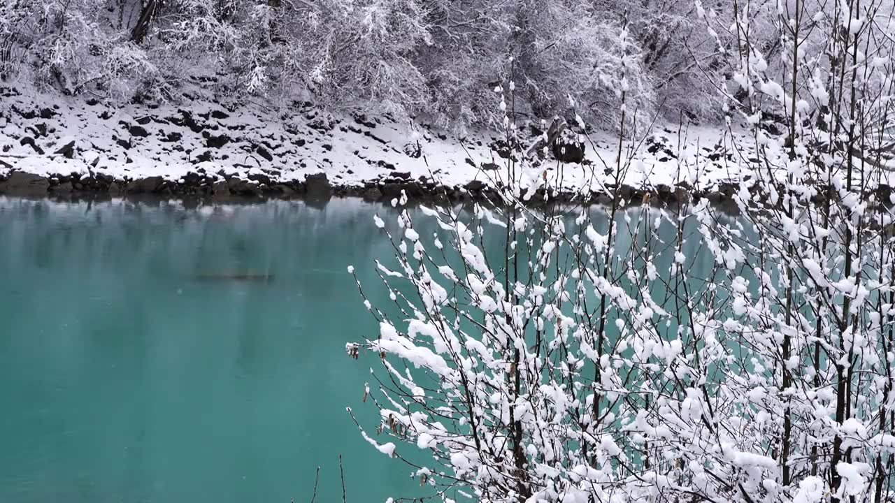 西藏昌都市八宿县然乌湖冬天冰河雾凇冰雪风景视频素材