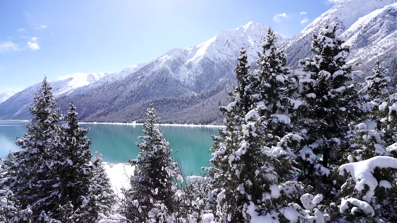 西藏昌都市八宿县然乌湖雪山森林湖泊雾凇雪景风光视频素材