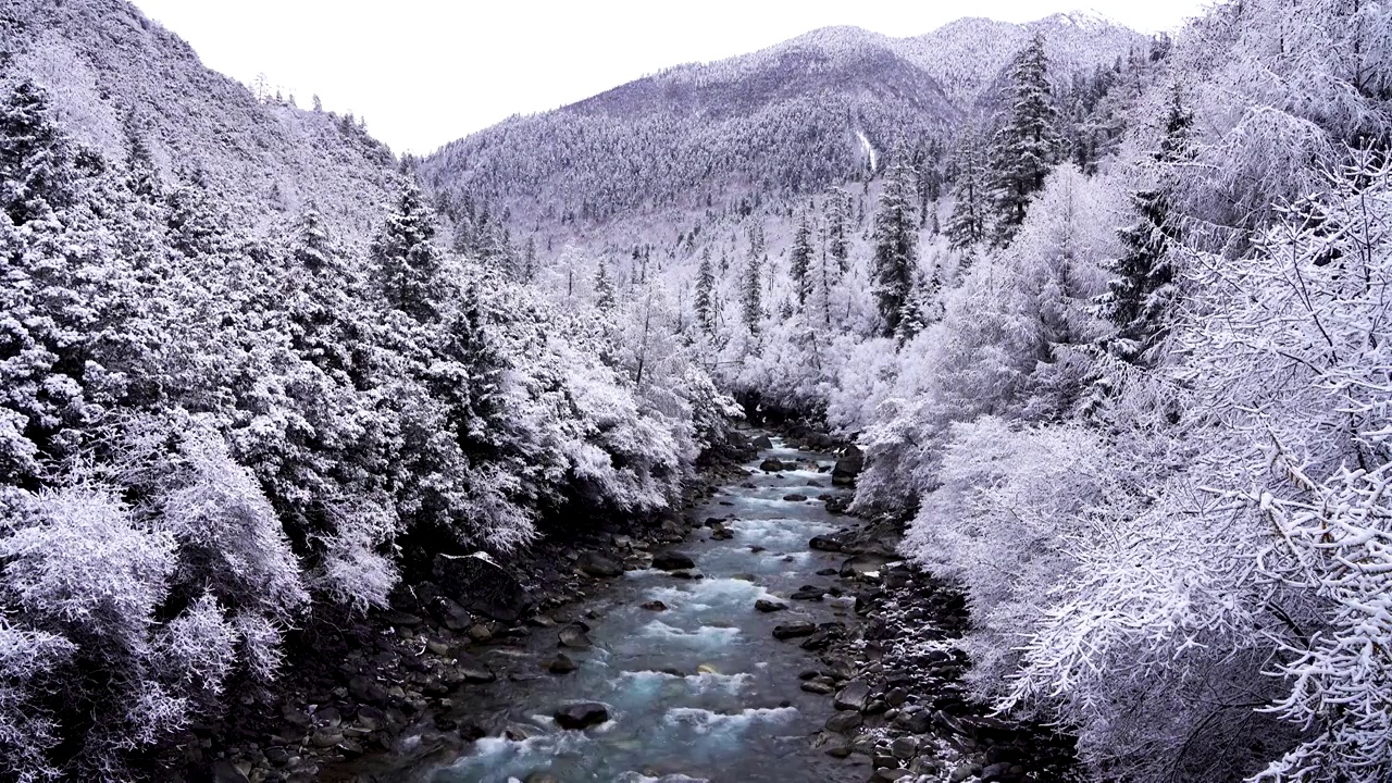 西藏林芝市工布江达县巴松措景区，森林河流雾凇的雪景风光视频下载