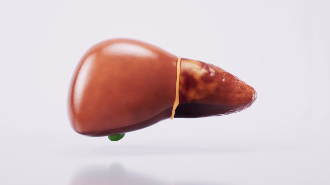 脂肪肝与生物医学3D渲染视频素材