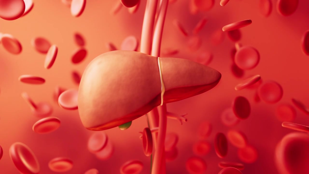 肝脏器官与生物医学3D渲染视频素材