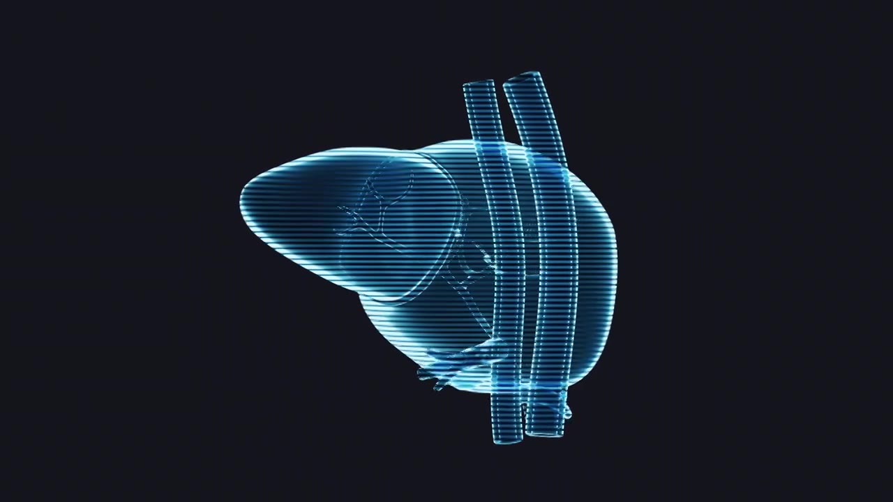 肝脏器官与生物医学循环动画3D渲染视频下载