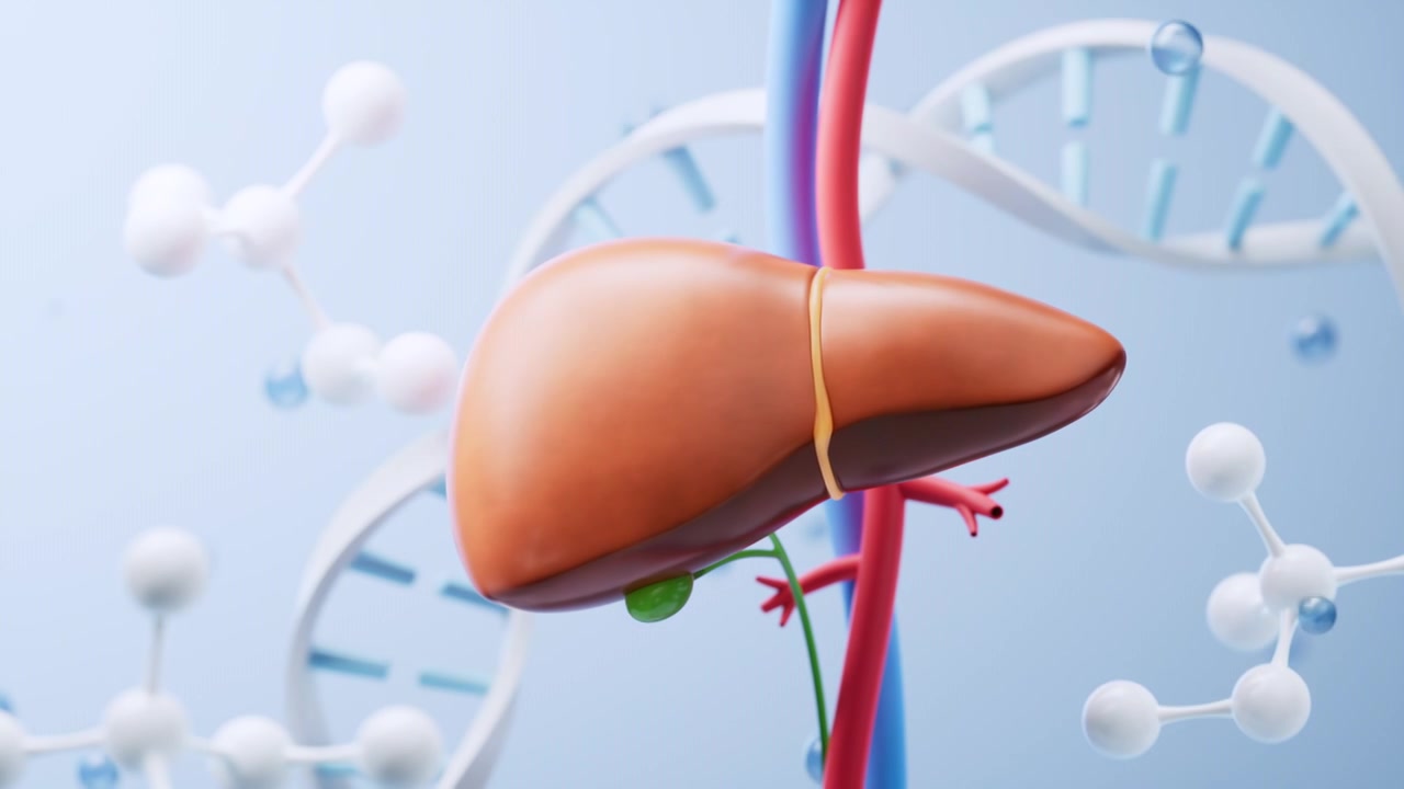 肝脏与生物科技背景3D渲染视频素材