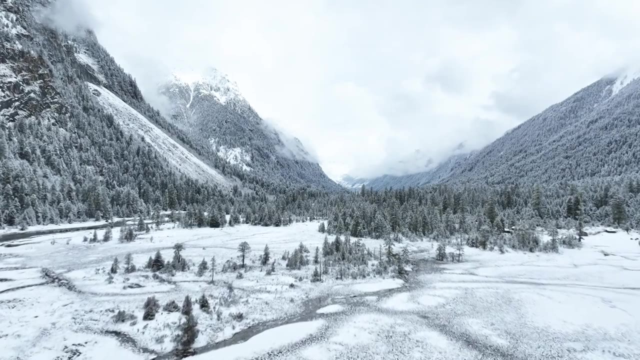 西藏林芝市巴松措景区，雪山森林雪地的林海雪原雪景航拍风光视频下载