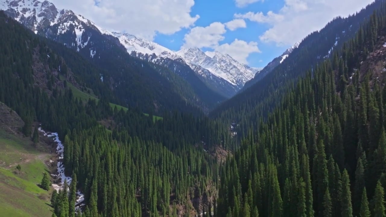 航拍雪山森林自然风光视频下载