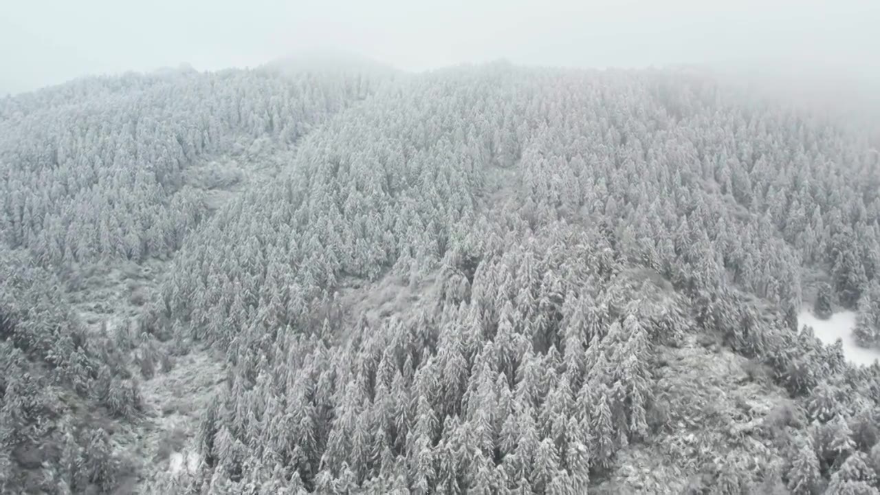 航拍重庆武隆仙女山森林公园雪景视频下载