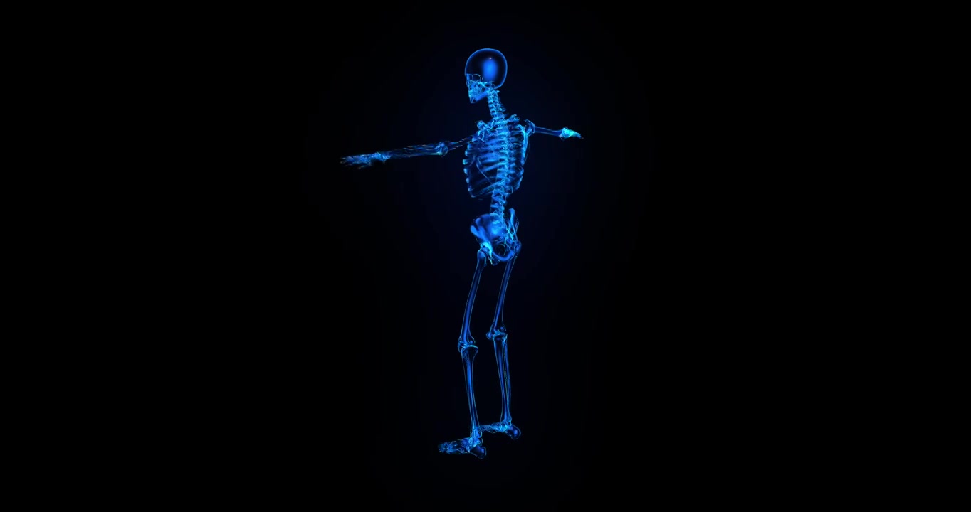 科技感人类全身骨架旋转动画视频下载