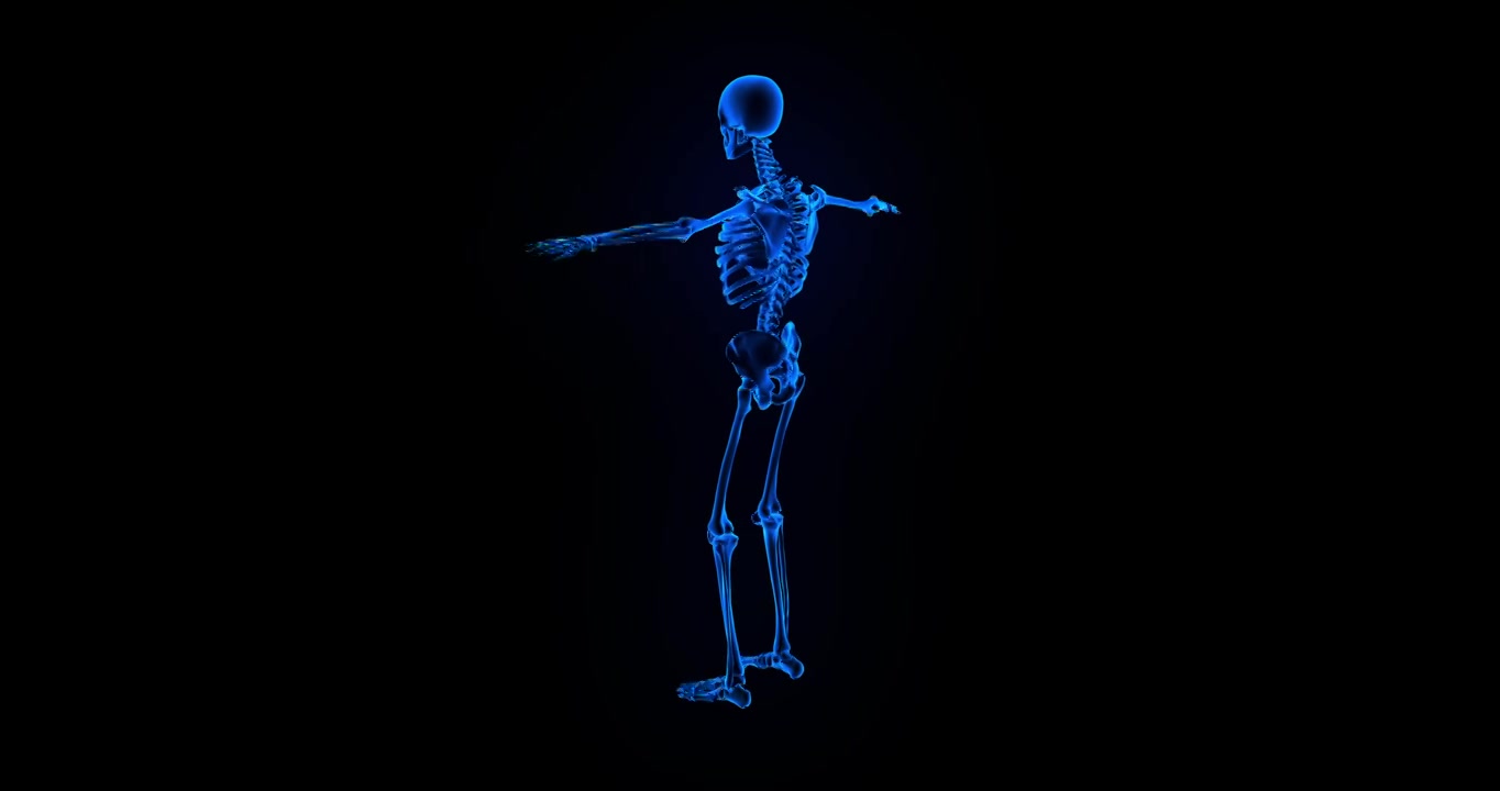 科技感人类全身骨架旋转动画视频下载