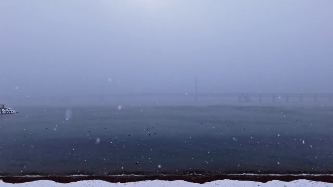 4K 航拍 雪中的大连星海湾大桥和海浩视频下载