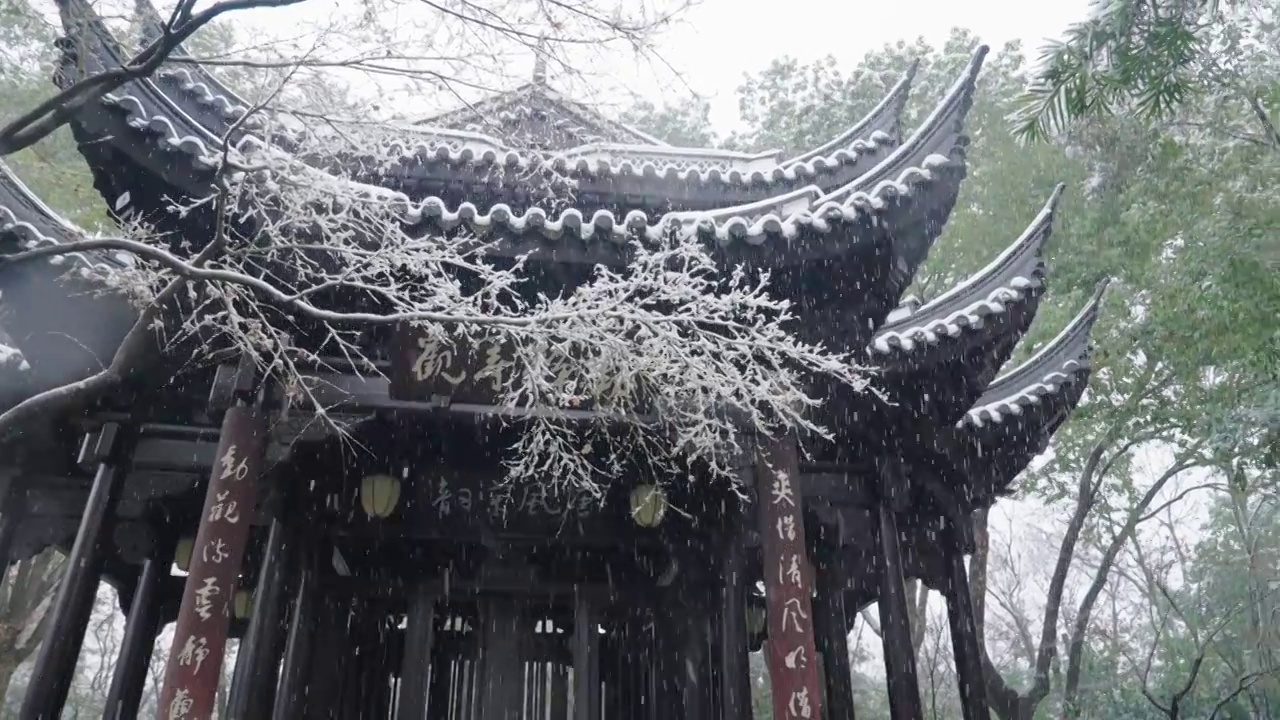 下雪中的江南园林，雪中的江阴兴国公园，雪中的中山公园，江南园林雪景，下雪，雪景，江阴市园林雪景视频购买
