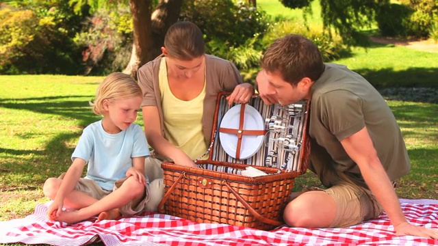一家人准备在公园的草地上野餐视频下载