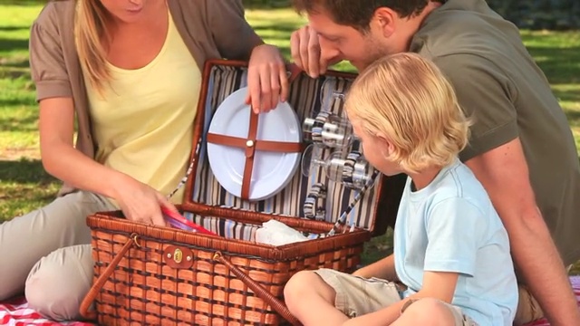 快乐的家庭从公园的野餐篮子里拿食物视频下载