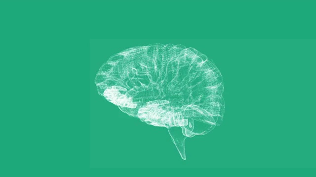 在绿色背景上旋转透明的人脑图形视频下载