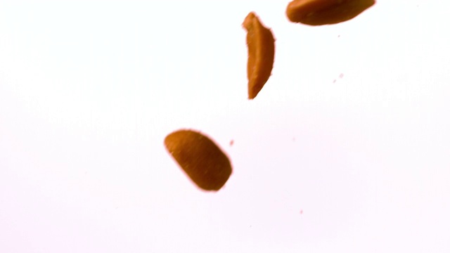 在慢镜头中，白色背景下倾泻的玉米粒视频下载