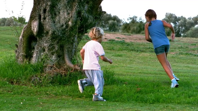 一个小女孩和一个小男孩绕着一棵大树跑的慢镜头视频素材