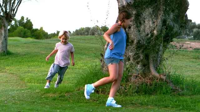 小女孩和小男孩绕着树跑的慢镜头视频素材