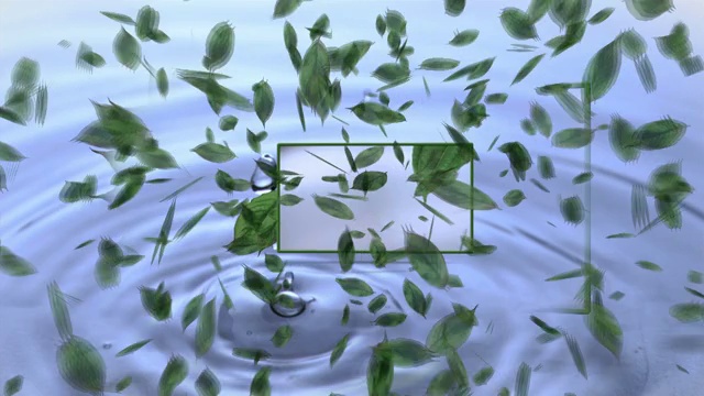从树叶上落下的水滴与水坑动画特效视频下载