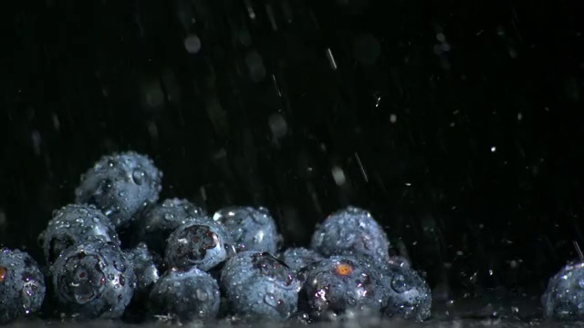 被水打湿的蓝莓特写视频下载