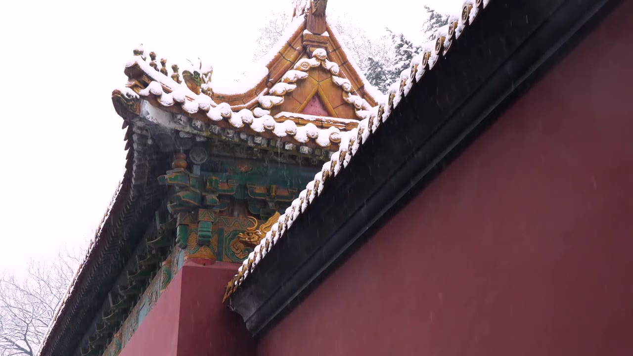 南京明孝陵雪景，宫墙，屋檐，雪花，大雪，意境视频下载