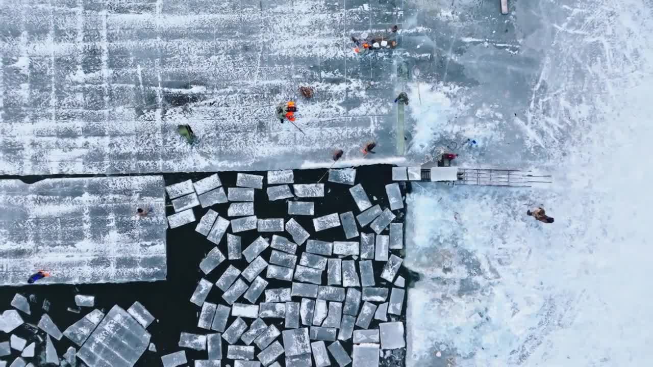 中国黑龙江哈尔滨冰雪大世界采冰全程合集（合集）视频下载