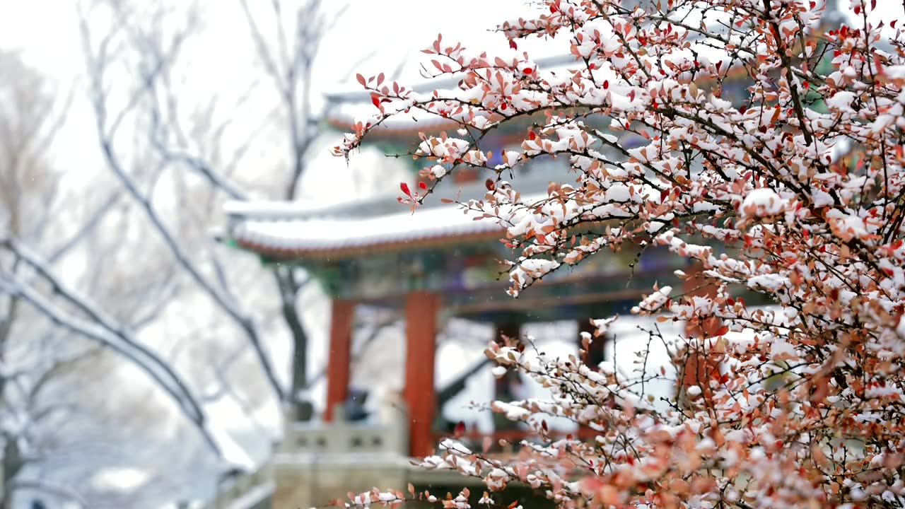 北京颐和园冬季雪景视频购买