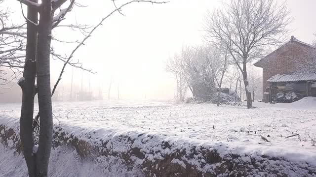 村庄雾凇视频素材