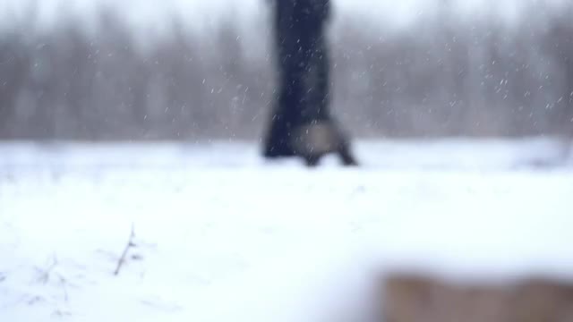 雪地舞者视频素材