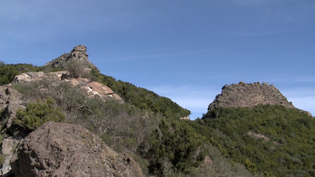 西班牙特内里费岛的加拉约内国家公园视频素材