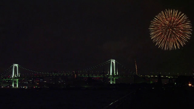 2012年东京湾大烟花节视频素材