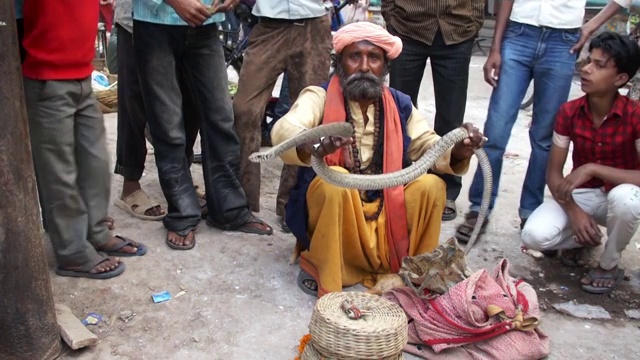 Snake Charmer in Varanasi, India视频素材