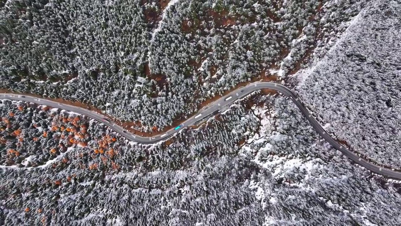 蜿蜒的盘山公路穿过森林视频素材