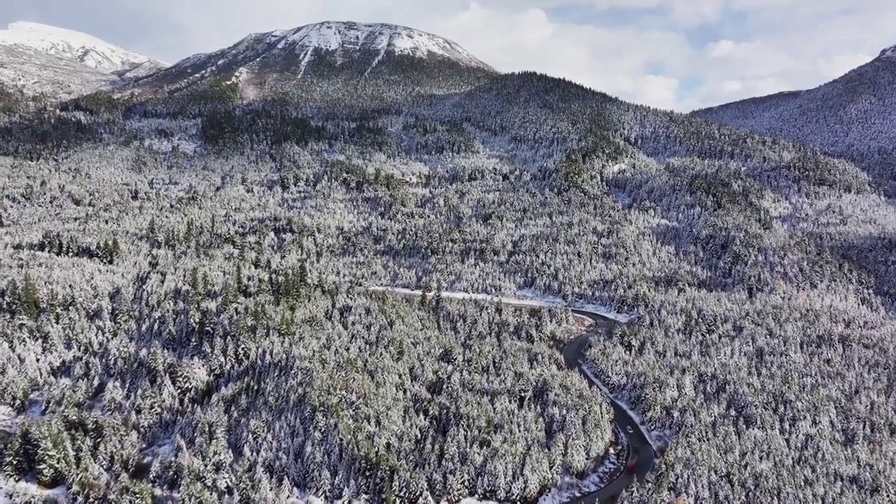 蜿蜒的盘山公路穿过森林视频素材