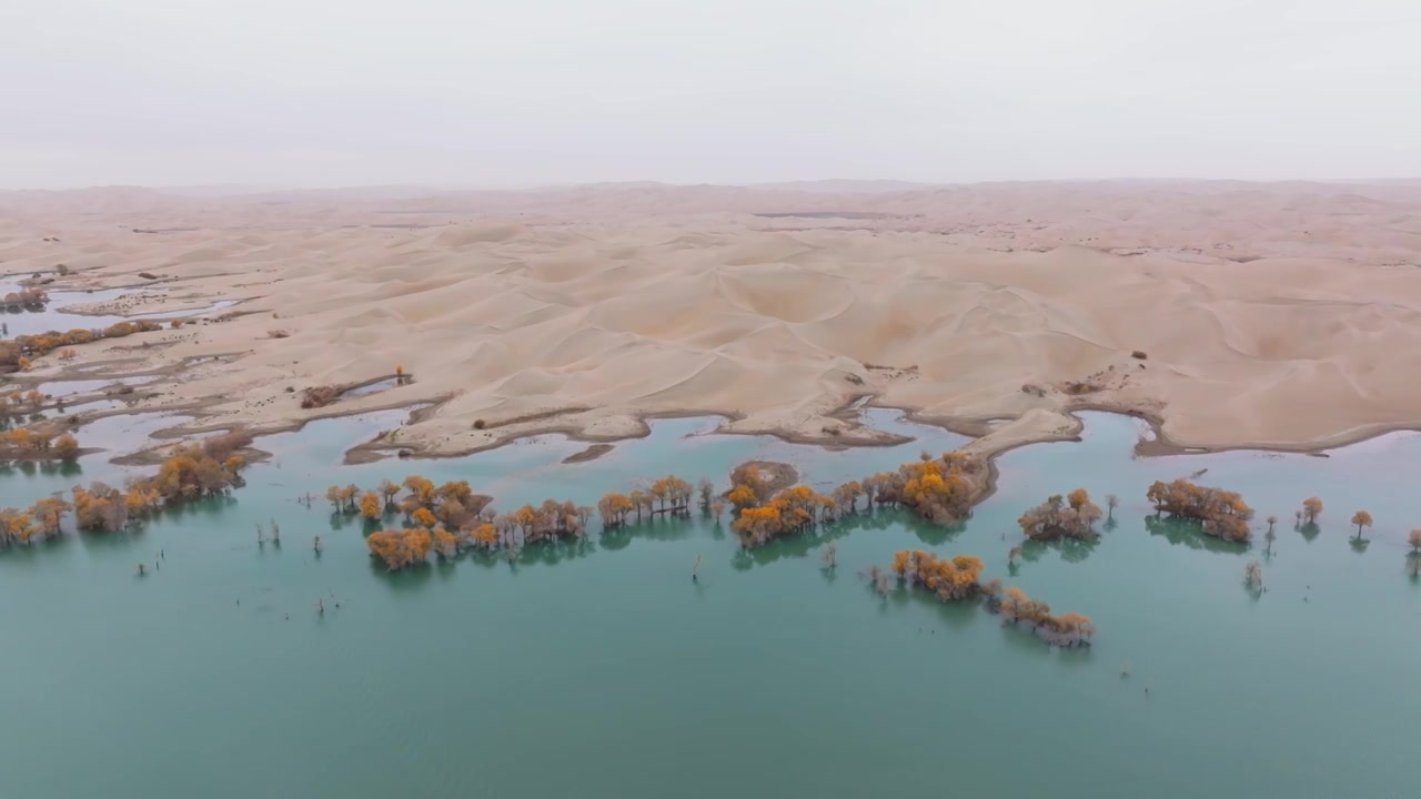 航拍秋天的新疆葫芦岛风景视频素材