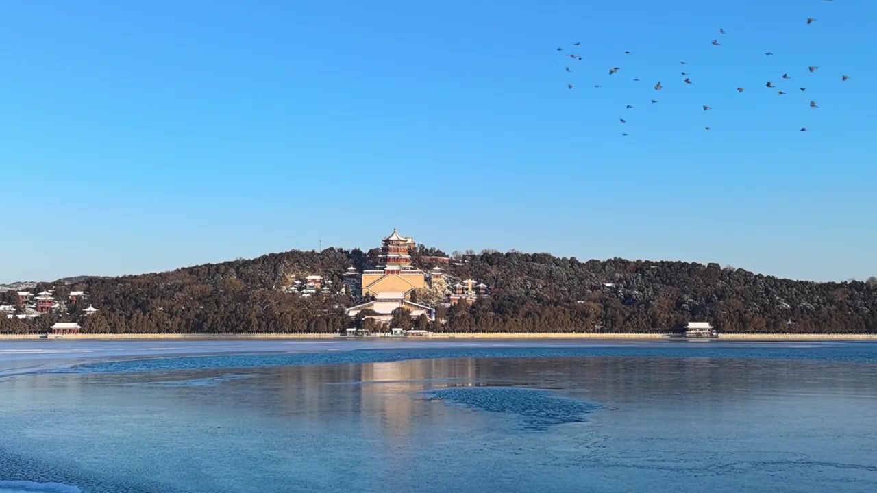 冬天的颐和园佛香阁和飞鸟视频下载