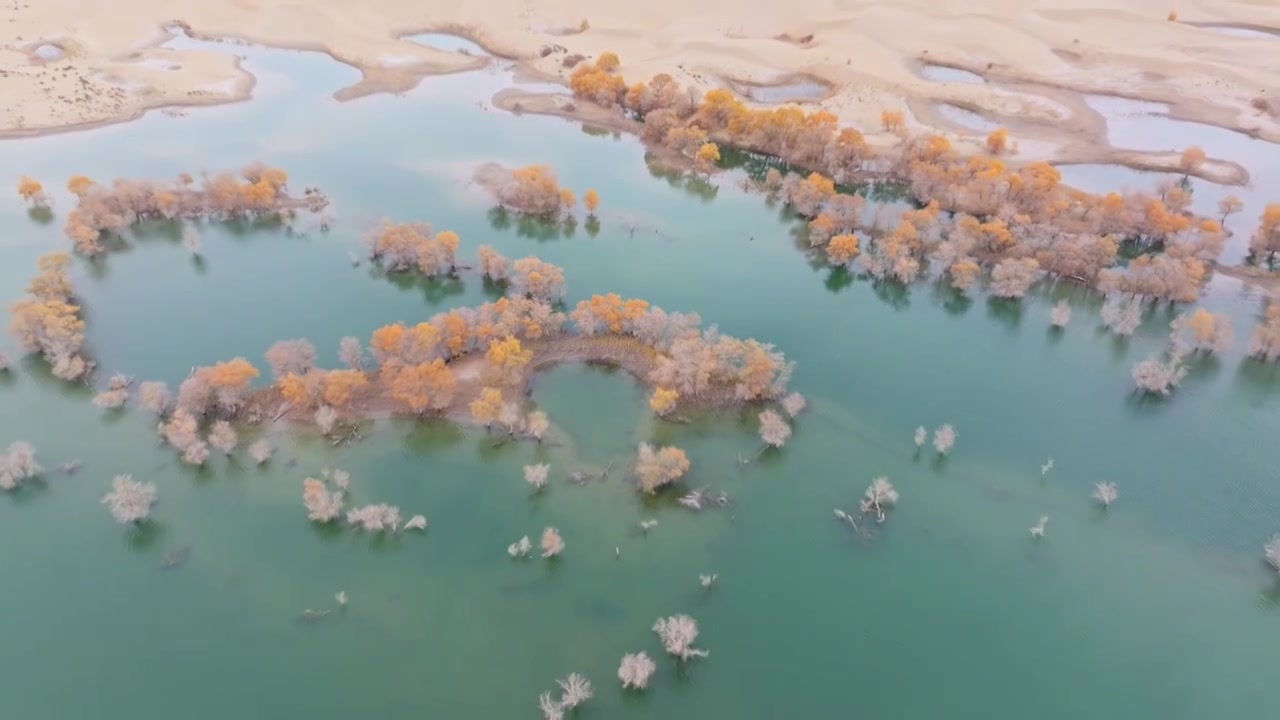 航拍秋天的新疆葫芦岛风景视频下载