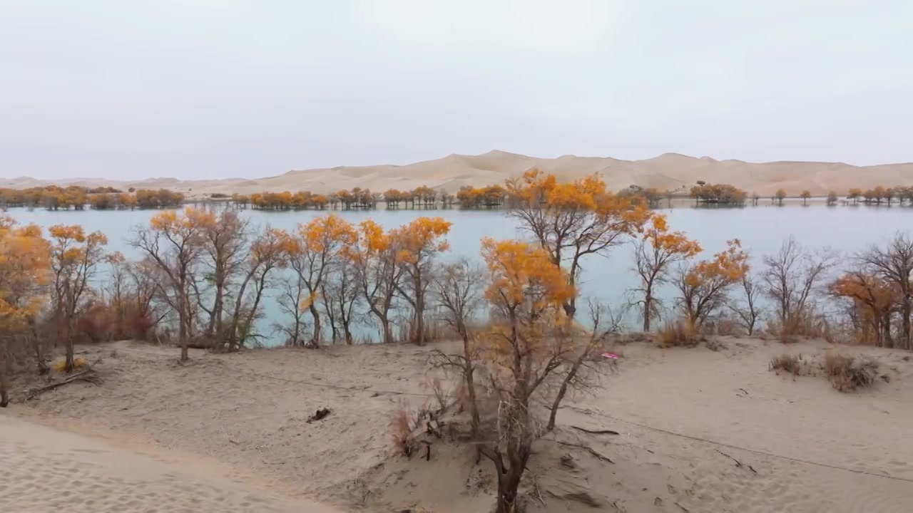 航拍秋天的新疆葫芦岛风景视频素材