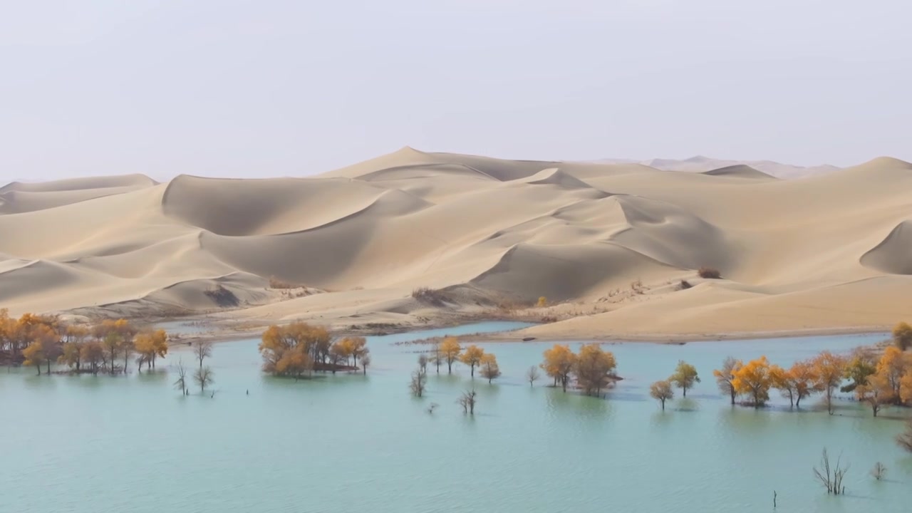 航拍秋天的新疆葫芦岛风景视频下载