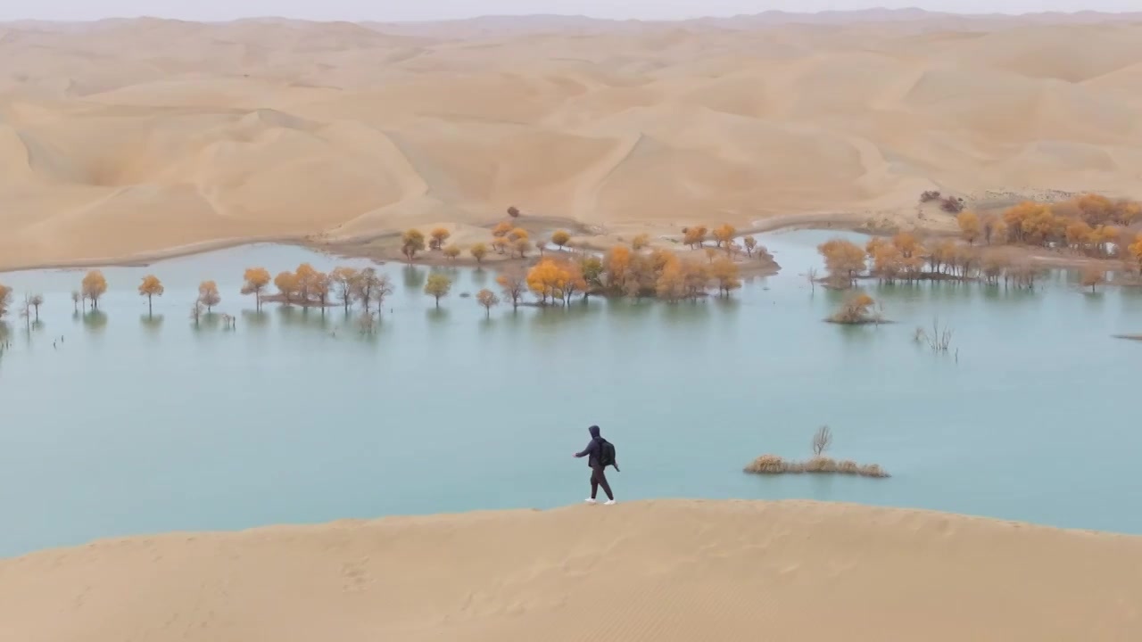 航拍男人走在秋天新疆葫芦岛的沙丘上视频下载