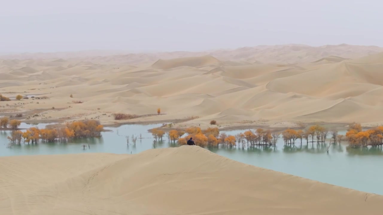 航拍男人坐在秋天新疆葫芦岛的沙丘上视频下载