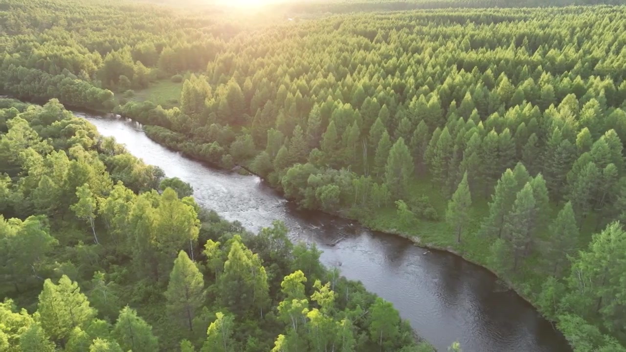 航拍阳光照耀的森林河视频下载