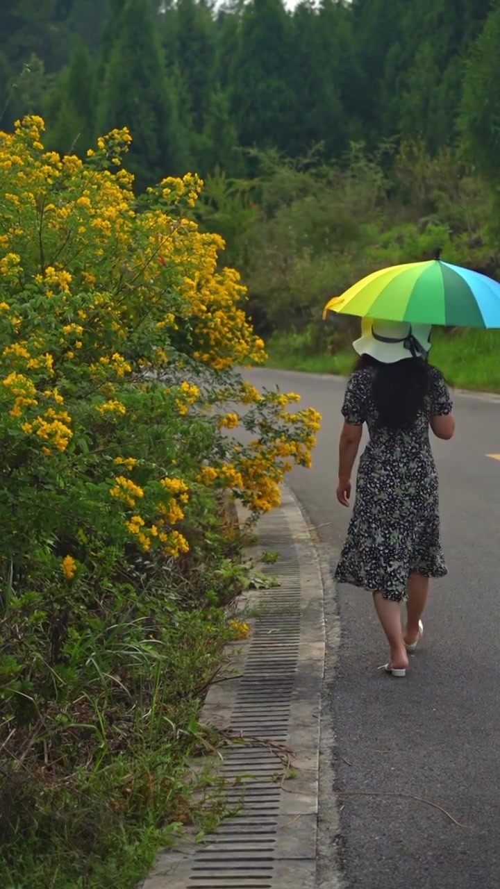 一个女人在向日葵地里行走视频下载