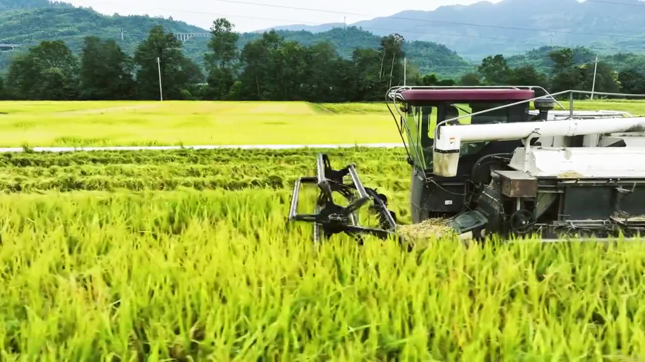 稻田稻谷丰收机械化收割机作业航拍视频（选编）视频下载