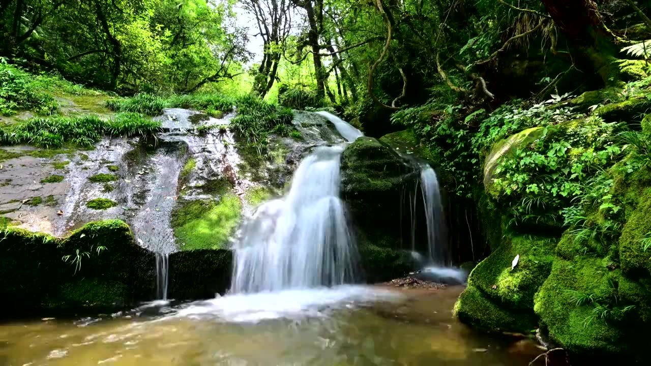 原始森林唯美意境溪流清泉阳光小溪流淌视频下载