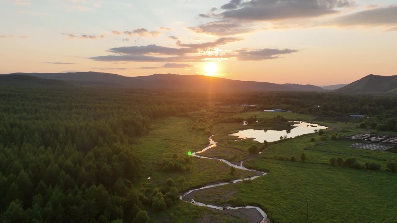 航拍夕阳照耀的森林湿地视频下载