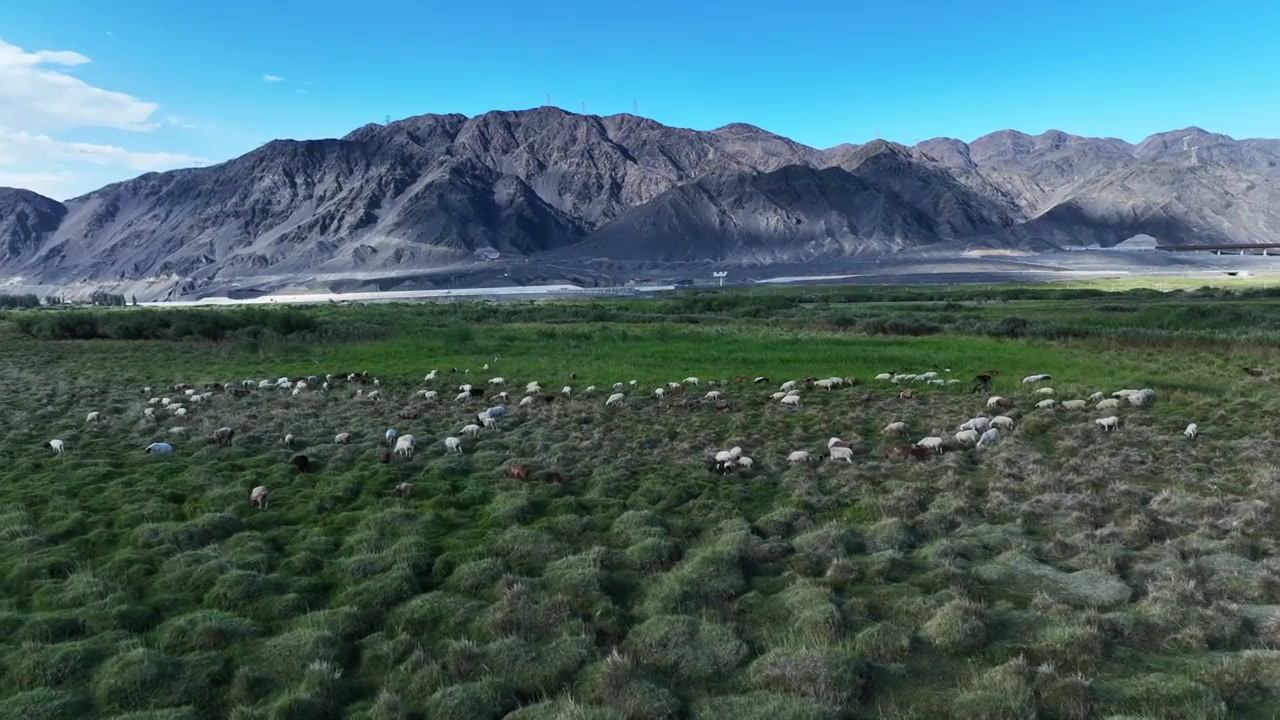 草原牧场视频素材